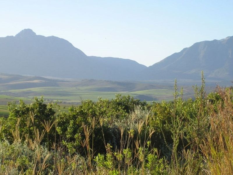 600 sqm Vacant Land For Sale in Heidelberg Central, Heidelberg - Photo 2