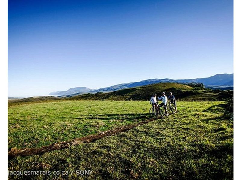 600 sqm Vacant Land For Sale in Heidelberg Central, Heidelberg - Photo 10
