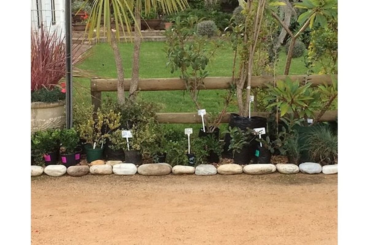A view of a garden area featuring a timber post-and-rail fence, stone border edging, and various established plants.