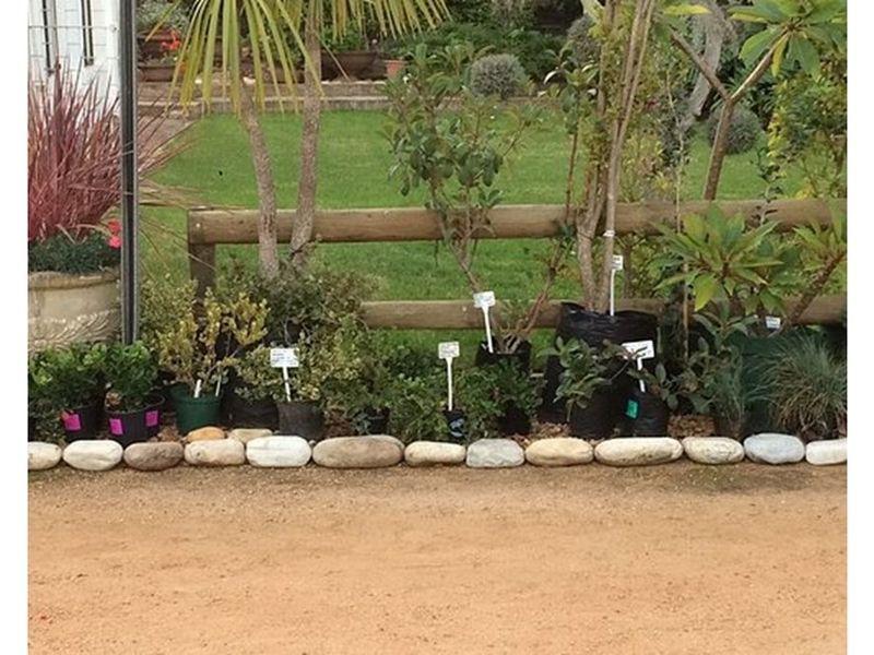 600 sqm Vacant Land For Sale in Heidelberg Central, Heidelberg - Photo 9