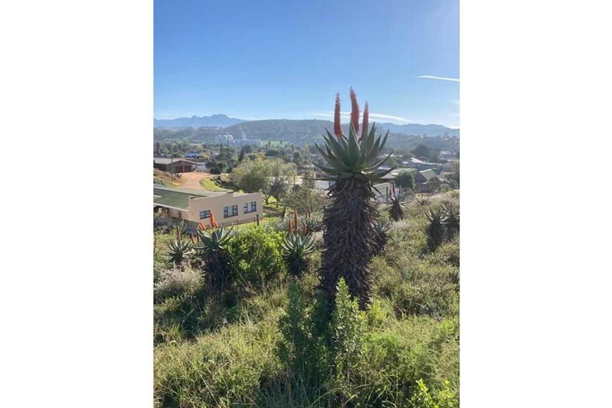 600 sqm Vacant Land For Sale in Heidelberg Central, Heidelberg - Photo 5