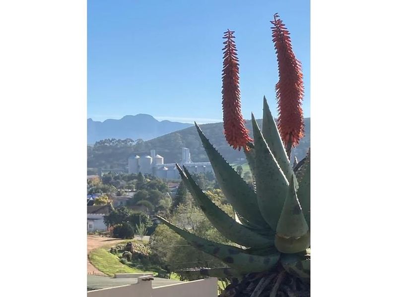 600 sqm Vacant Land For Sale in Heidelberg Central, Heidelberg - Photo 4