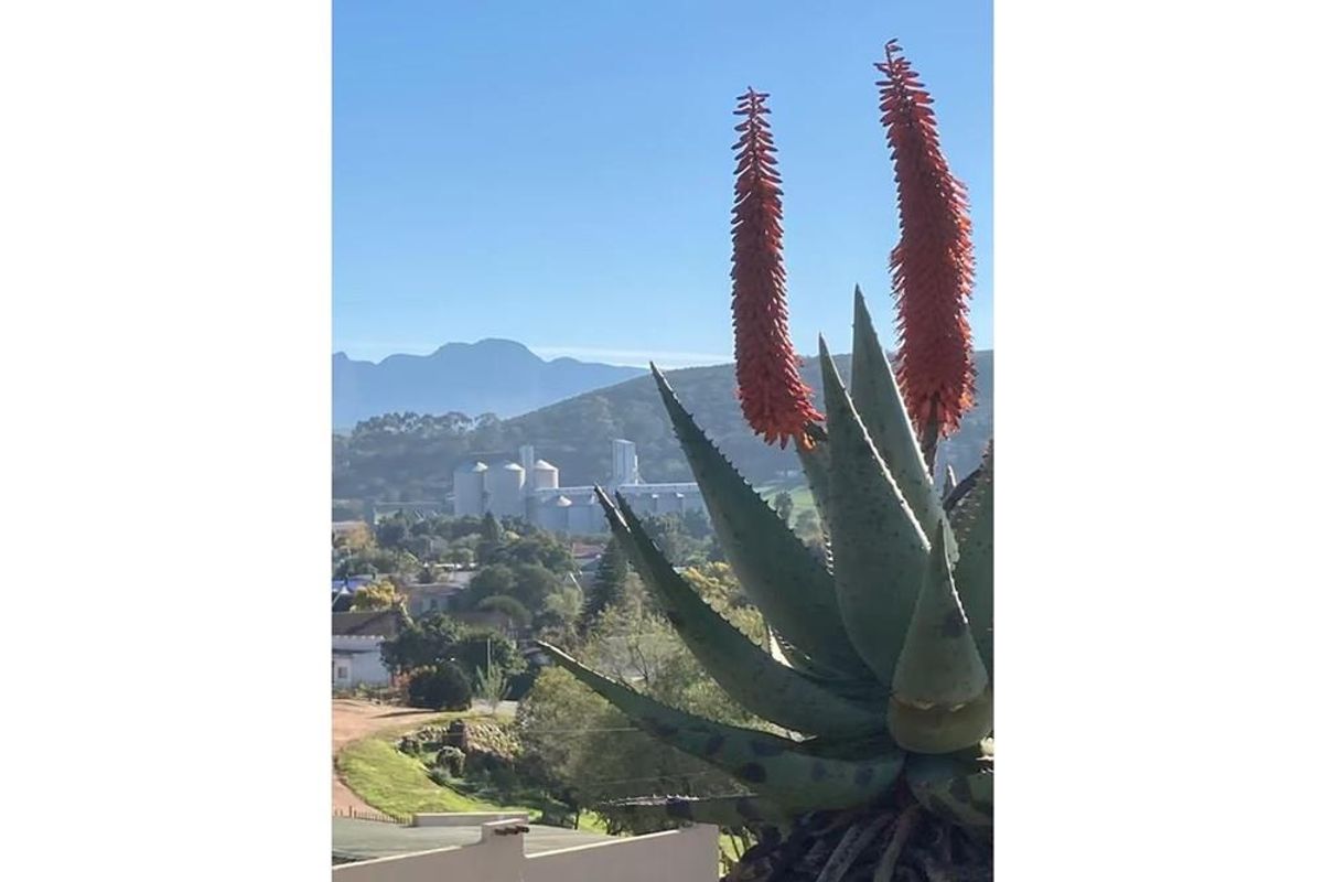 600 sqm Vacant Land For Sale in Heidelberg Central, Heidelberg - Photo 4