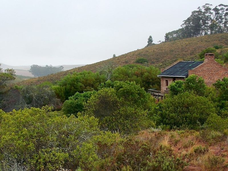 A rustic stone cottage nestled in a natural landscape, featuring a chimney and surrounding indigenous vegetation on a vacant residential plot.