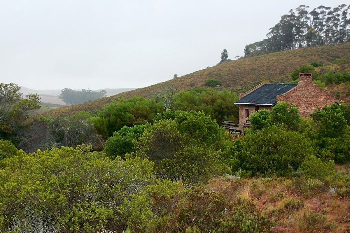 A rustic stone cottage nestled in a natural landscape, featuring a chimney and surrounding indigenous vegetation on a vacant residential plot.
