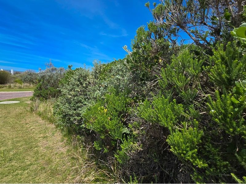 Vacant Land For Sale in St Francis Links St Francis Bay Eastern Cape - Photo 2