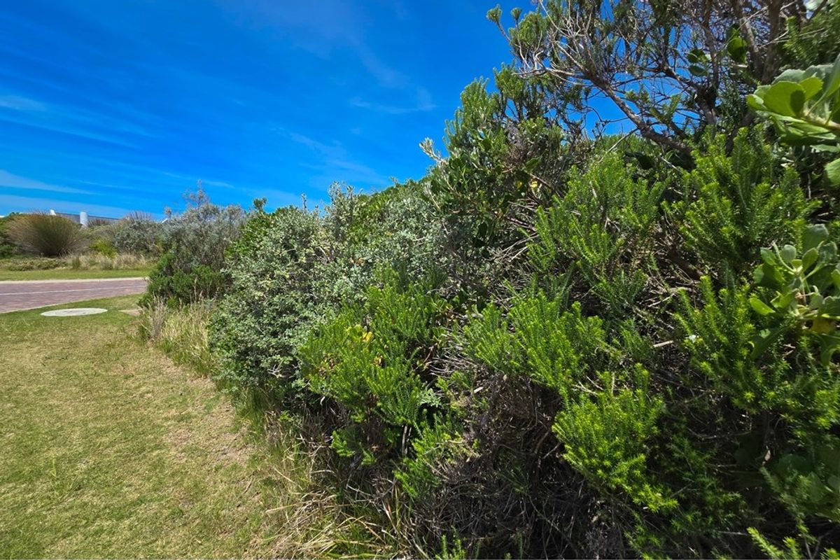 Vacant Land For Sale in St Francis Links St Francis Bay Eastern Cape - Photo 2