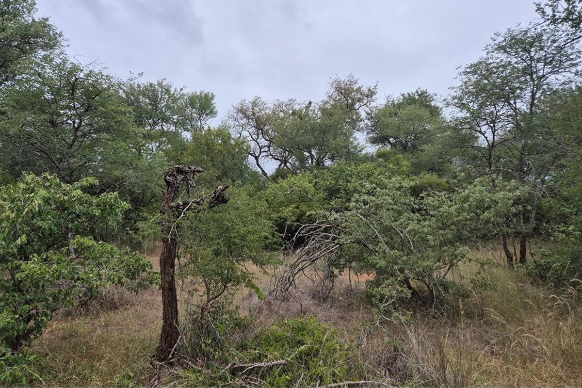 Vacant Land For Sale in Hoedspruit - Photo 2