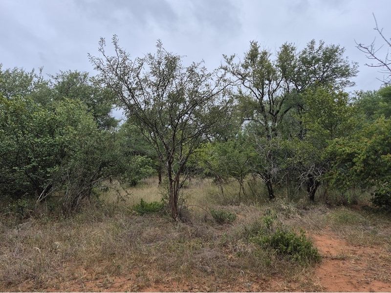 Vacant Land For Sale in Hoedspruit - Photo 7