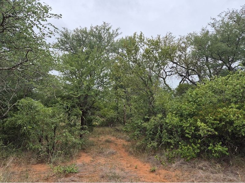 Vacant Land For Sale in Hoedspruit - Photo 10