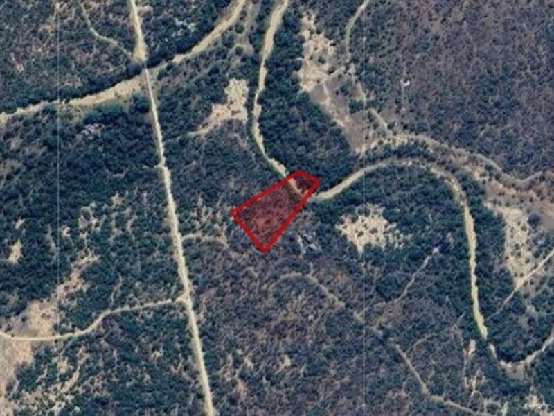 Vacant Land For Sale in Hoedspruit - Photo 5