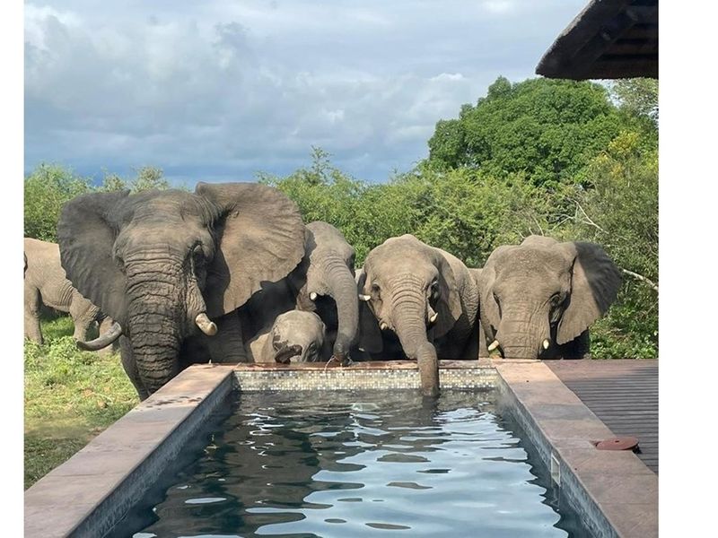 Vacant Land For Sale in Hoedspruit - Photo 4