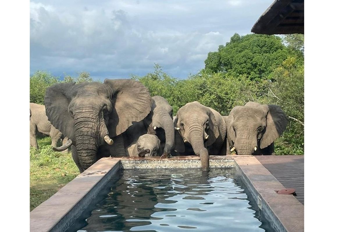 Vacant Land For Sale in Hoedspruit - Photo 4