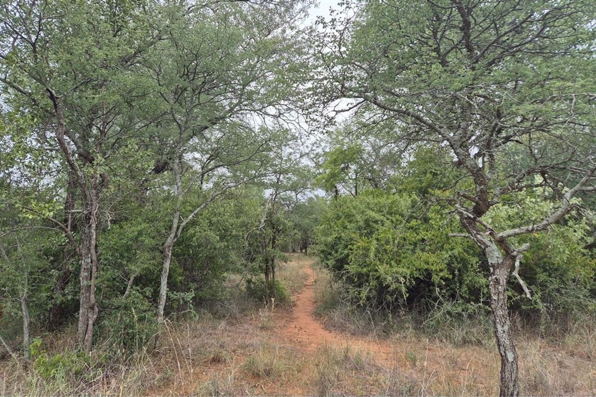Vacant Land For Sale in Hoedspruit - Photo 3