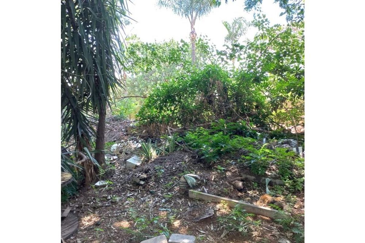 An overgrown garden area requiring significant clearing and landscaping to restore the outdoor space.
