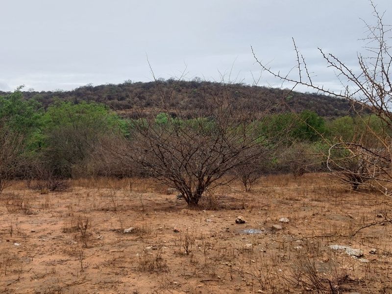 Vacant Land For Sale in Elephant Rock Eco Estate, Hoedspruit - Photo 7