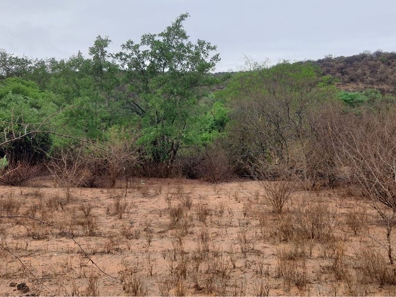 Vacant Land For Sale in Elephant Rock Eco Estate, Hoedspruit - Photo 2