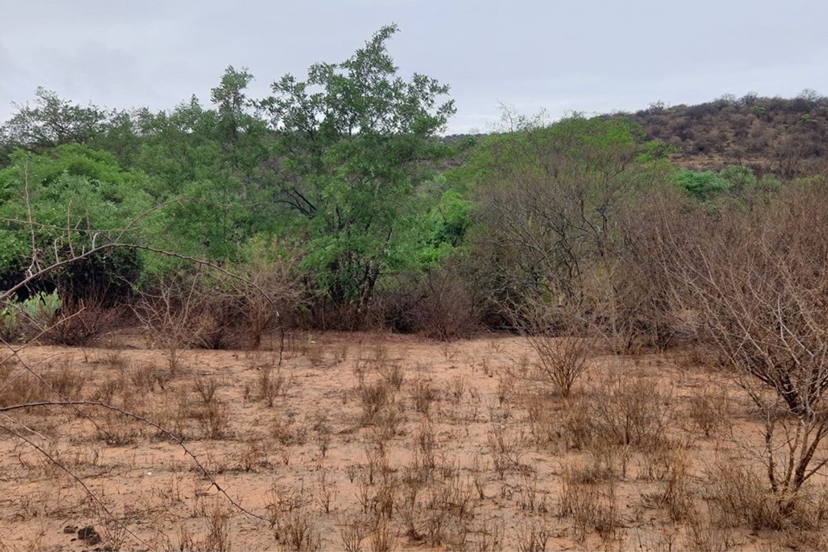 Vacant Land For Sale in Elephant Rock Eco Estate, Hoedspruit - Photo 2