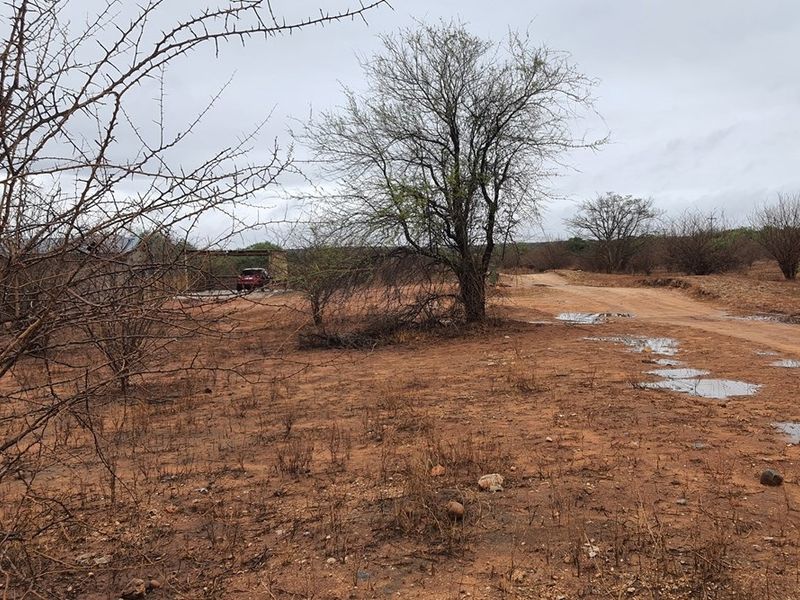 Vacant Land For Sale in Elephant Rock Eco Estate, Hoedspruit - Photo 10