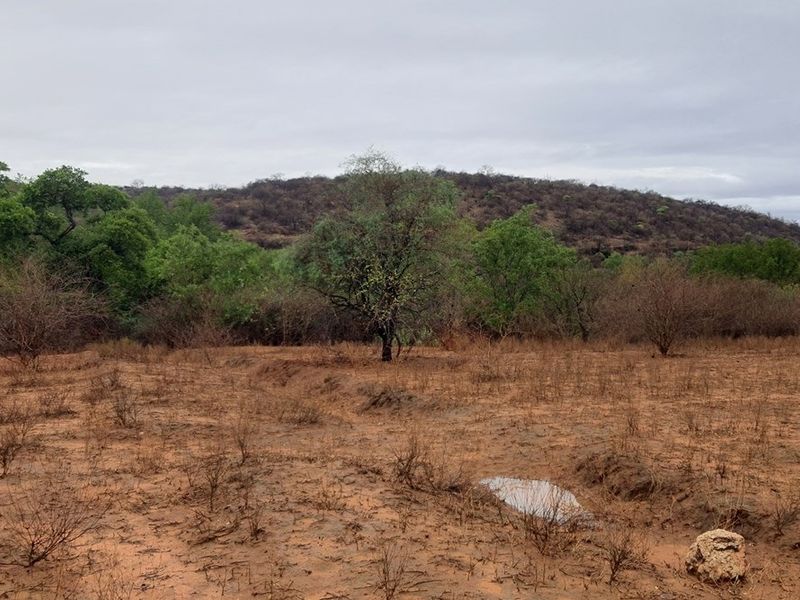 Vacant Land For Sale in Elephant Rock Eco Estate, Hoedspruit - Photo 3