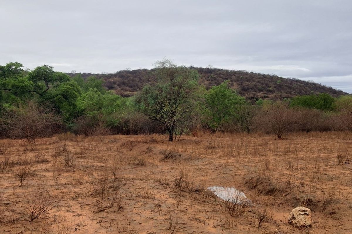 Vacant Land For Sale in Elephant Rock Eco Estate, Hoedspruit - Photo 3