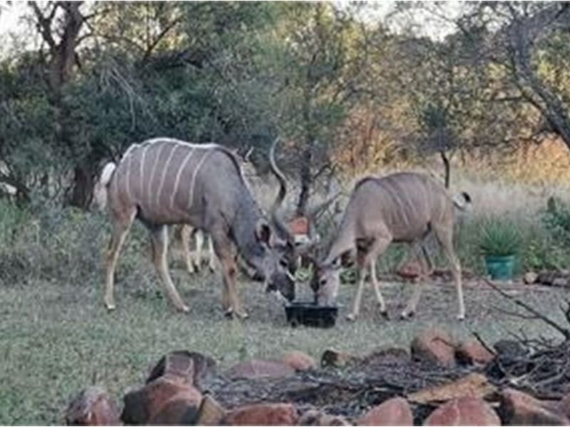 Vacant Land For Sale in Roodeplaat, Pretoria - Photo 5