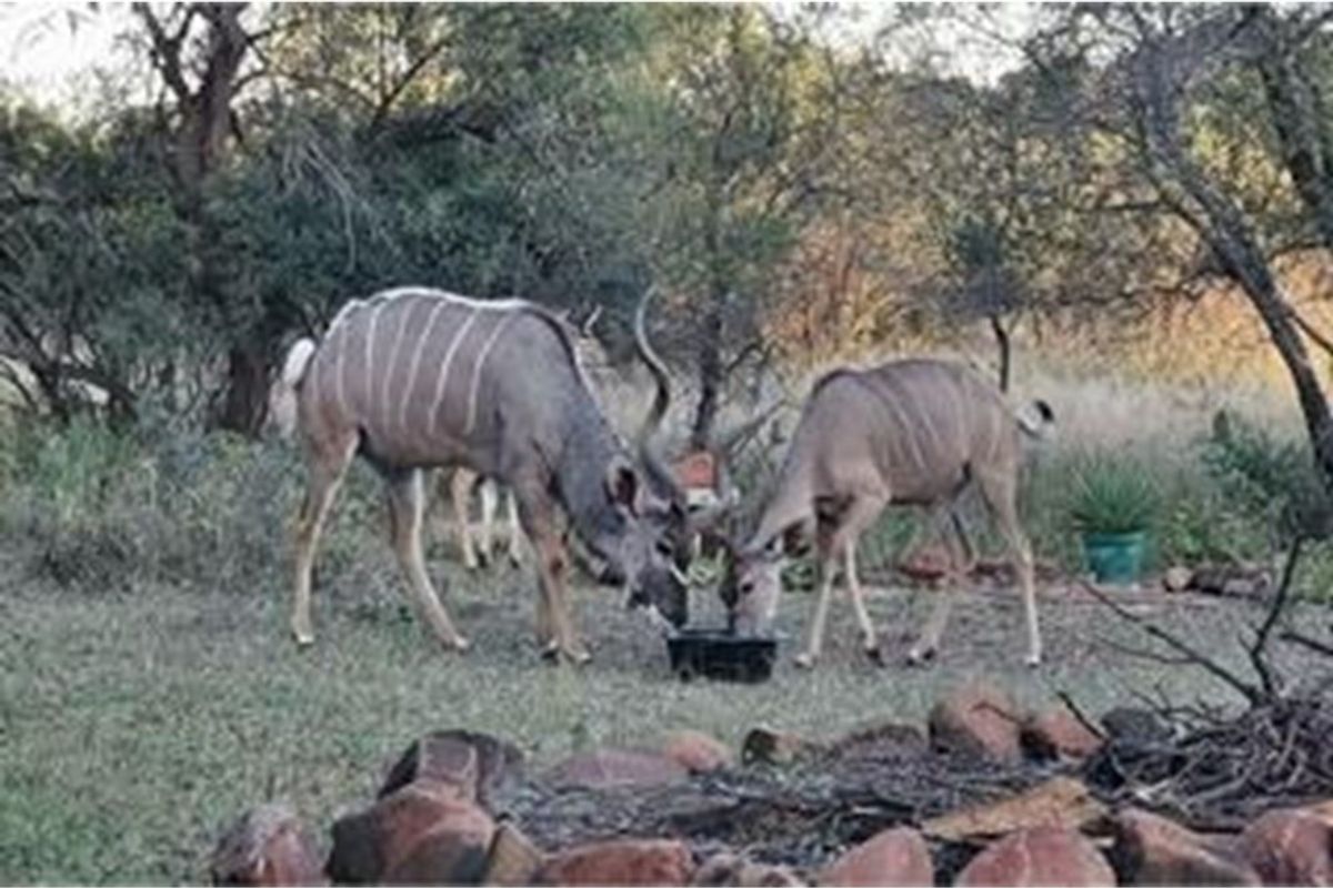 Vacant Land For Sale in Roodeplaat, Pretoria - Photo 5