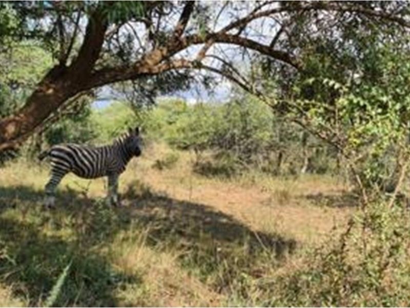 Vacant Land For Sale in Roodeplaat, Pretoria - Photo 3