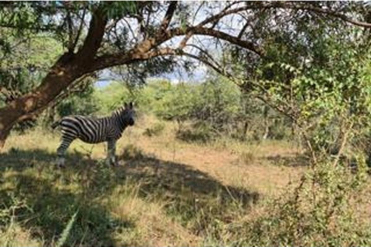 Vacant Land For Sale in Roodeplaat, Pretoria - Photo 3