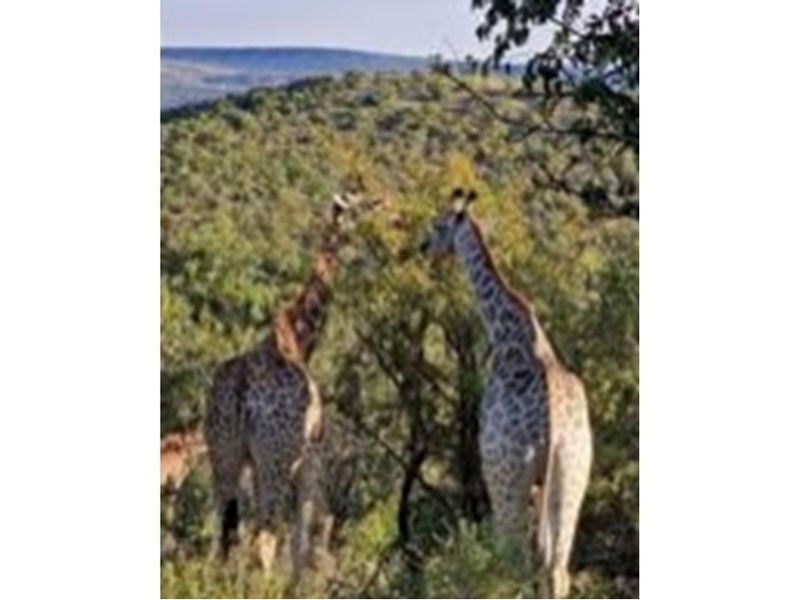 A view of the natural landscape featuring local wildlife within the property surroundings.
