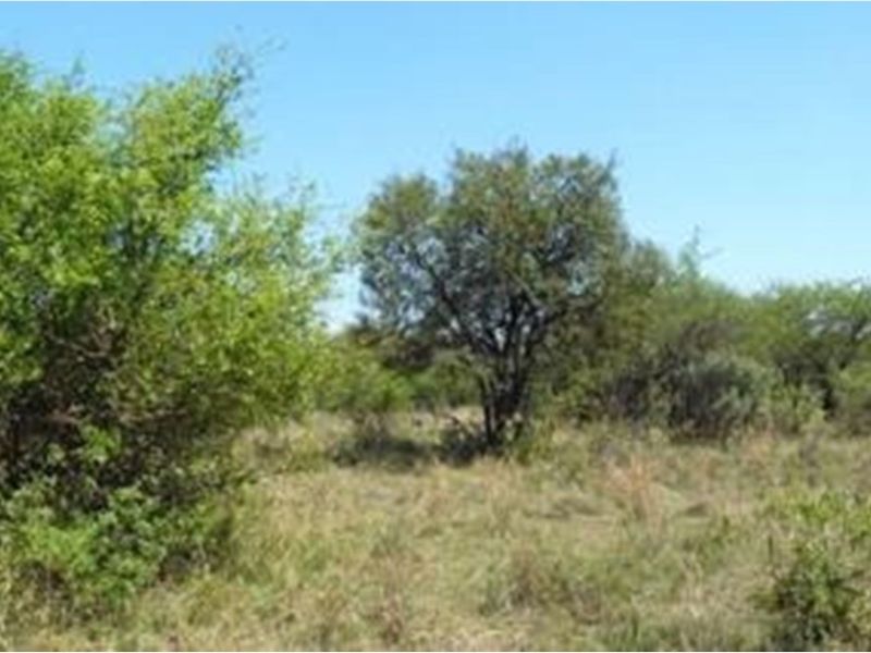 A view of the vacant residential land featuring natural vegetation and indigenous trees.