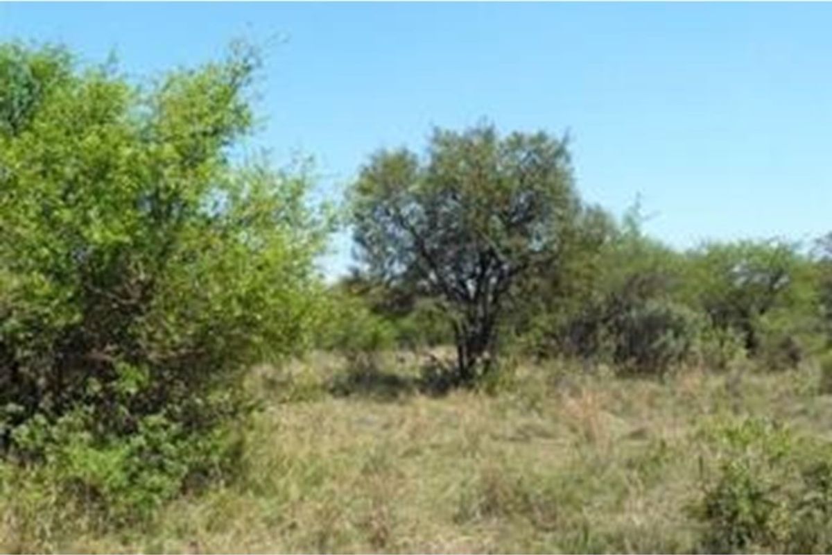 A view of the vacant residential land featuring natural vegetation and indigenous trees.