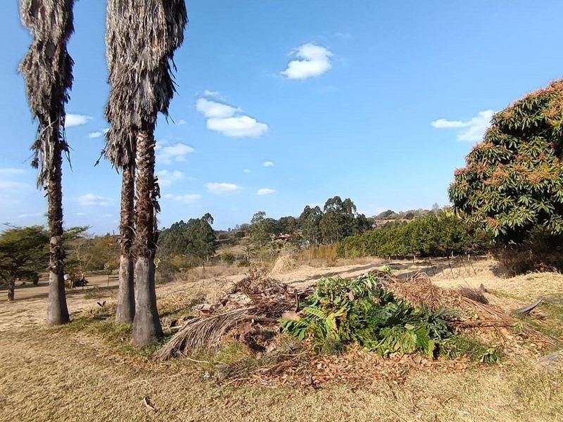 Small Holding For Sale in White River Central, White River - Photo 8