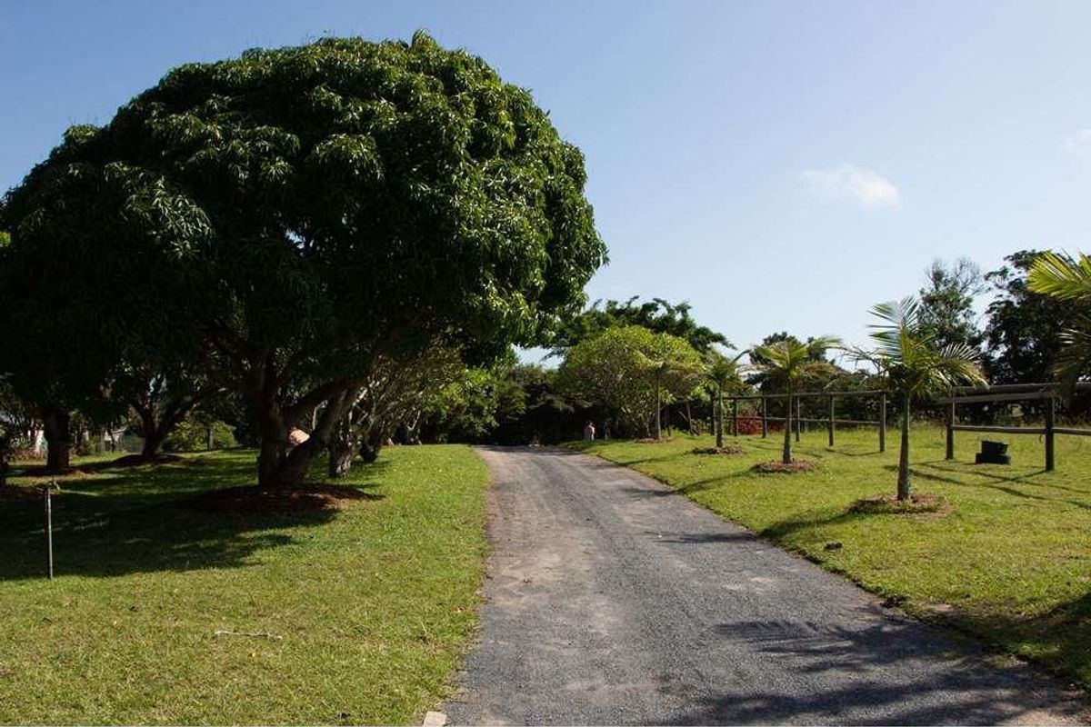 Farm For Sale in Margate, KwaZulu Natal - Photo 5