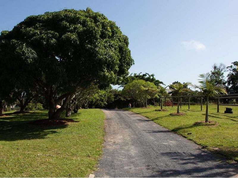 Farm For Sale in Margate, KwaZulu Natal - Photo 5