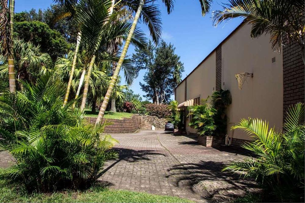 A view of the rear exterior area featuring a paved driveway, established palm trees, and a brick retaining wall alongside the building structure.