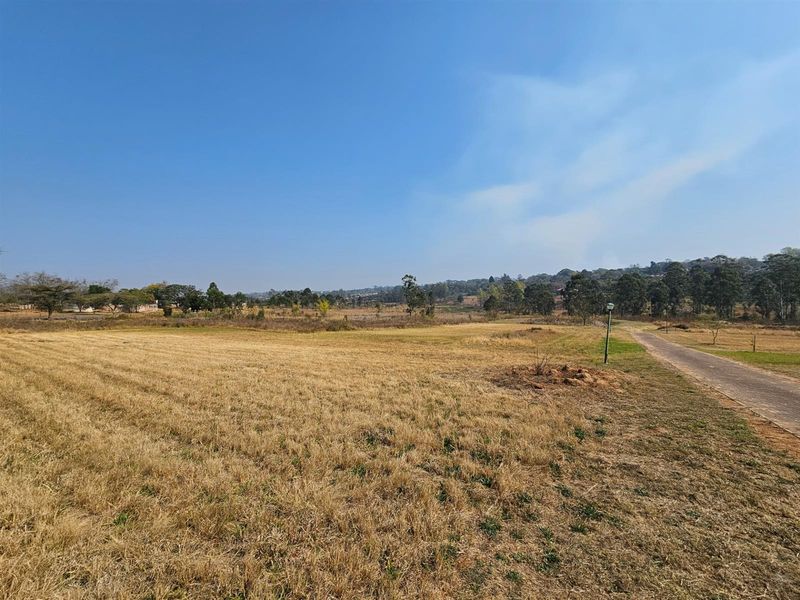 Vacant Land For Sale in Yaverland Estate, White River - Photo 6