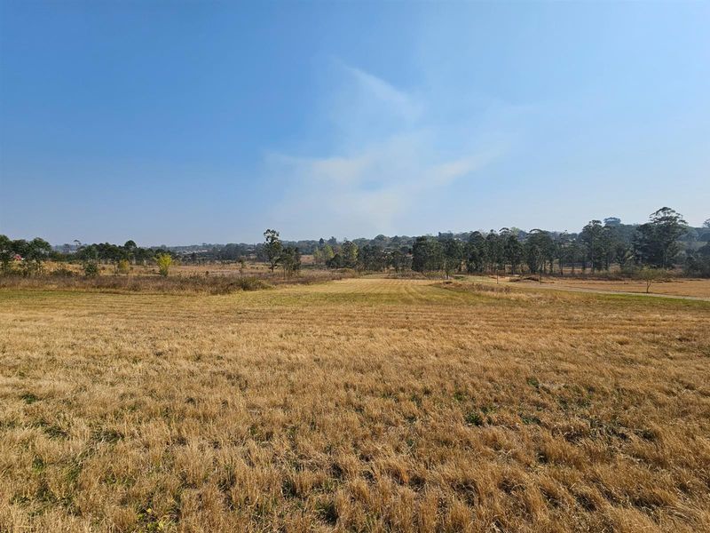 Vacant Land For Sale in Yaverland Estate, White River - Photo 5