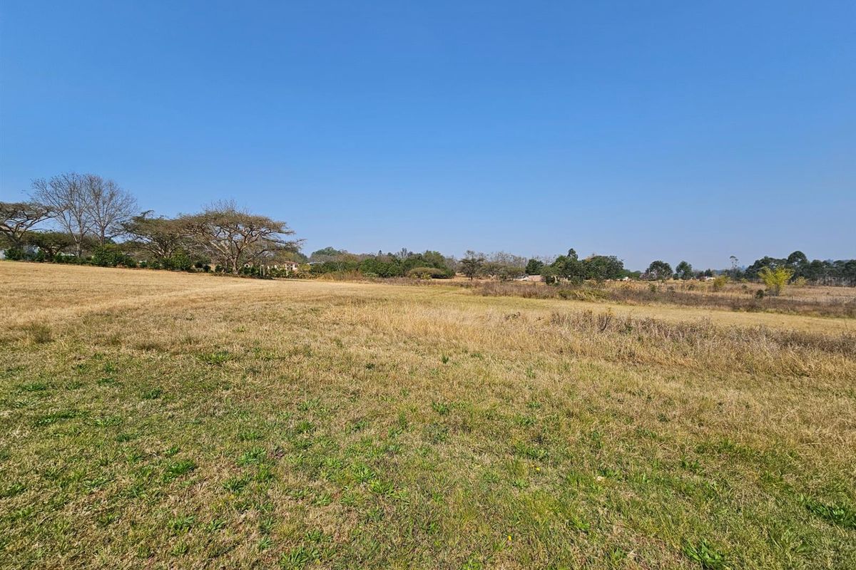 A wide-angle view of a vacant residential plot featuring open grassy terrain and mature trees in the background.