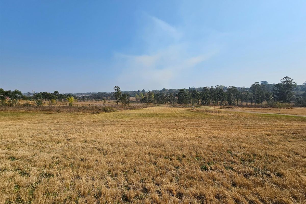 A wide-angle view of a vacant residential plot featuring open grassland and surrounding mature trees under a clear blue sky.