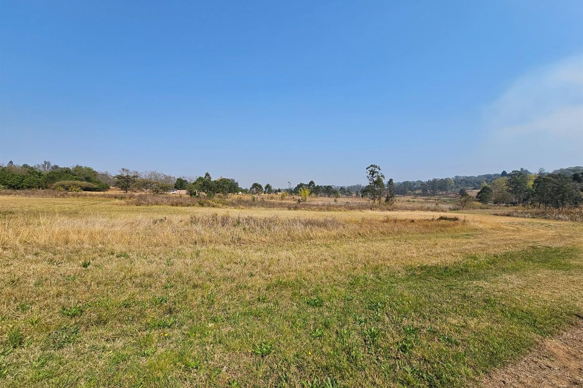 A wide-angle view of a vacant residential plot featuring natural grassland and surrounding mature trees under a clear blue sky.