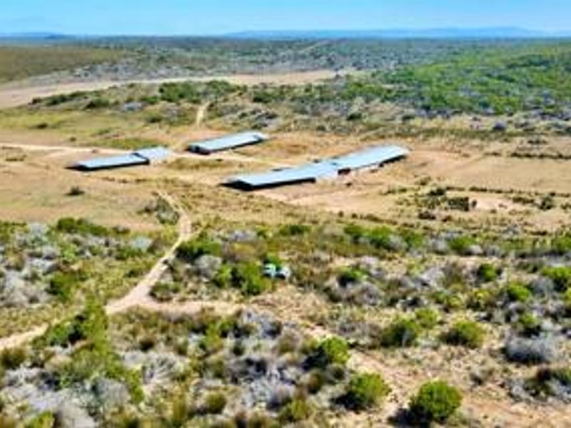 Farm For Sale in Stilbaai Rural, Stilbaai - Photo 8