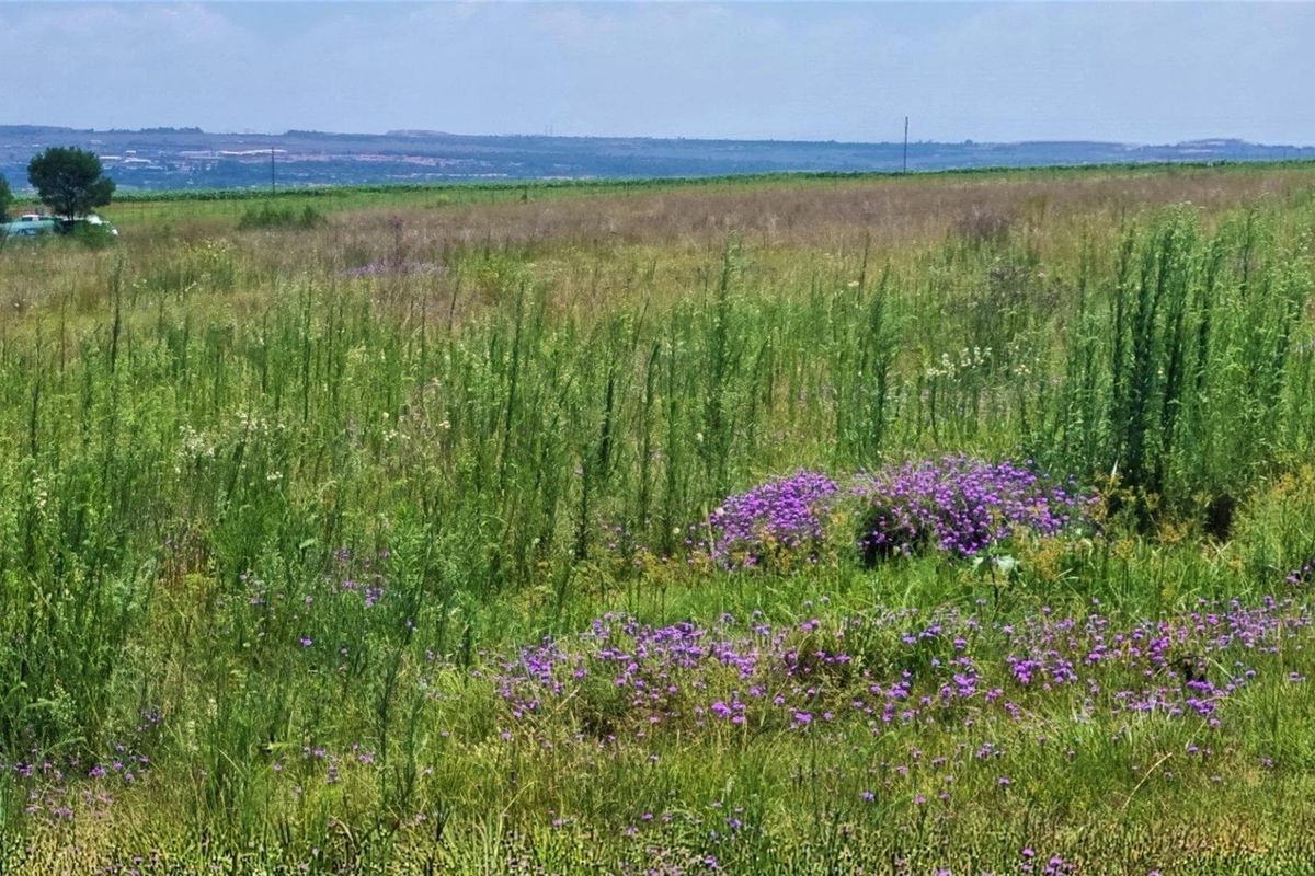 Prime Vacant Land in Glen Cullen Private Country Estate - Phase 1 - Photo 4