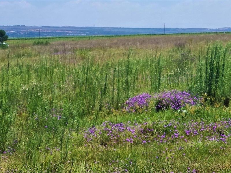 Prime Vacant Land in Glen Cullen Private Country Estate - Phase 1 - Photo 4