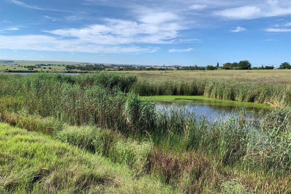 Prime Vacant Land in Glen Cullen Private Country Estate - Phase 1 - Photo 3