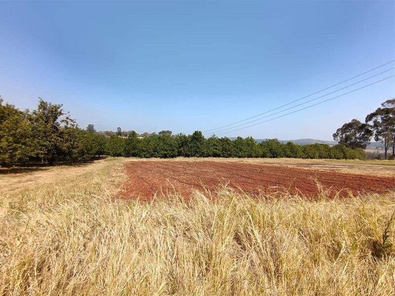 10Hectare Farm with Multiple Homes, Flats and Income-Producing Crops - Photo 4
