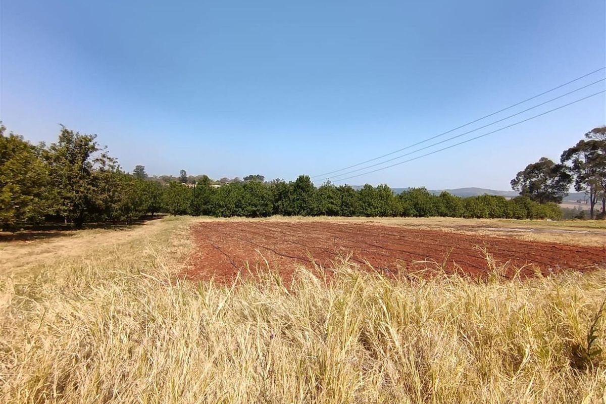 10Hectare Farm with Multiple Homes, Flats and Income-Producing Crops - Photo 4