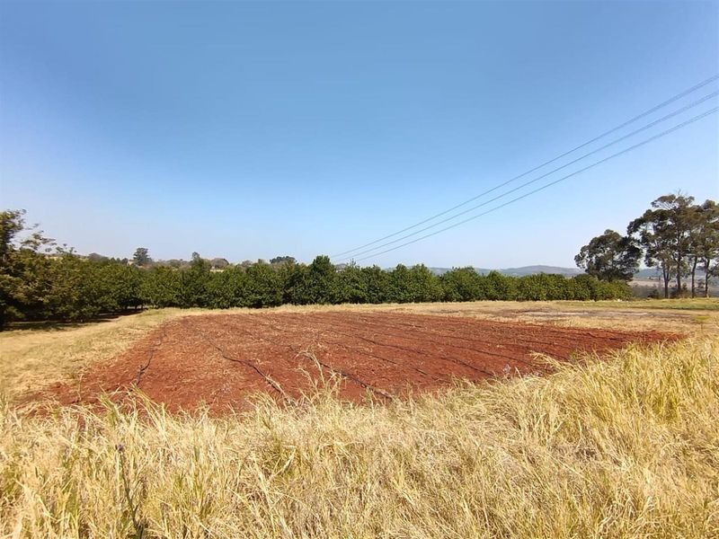 10Hectare Farm with Multiple Homes, Flats and Income-Producing Crops - Photo 3