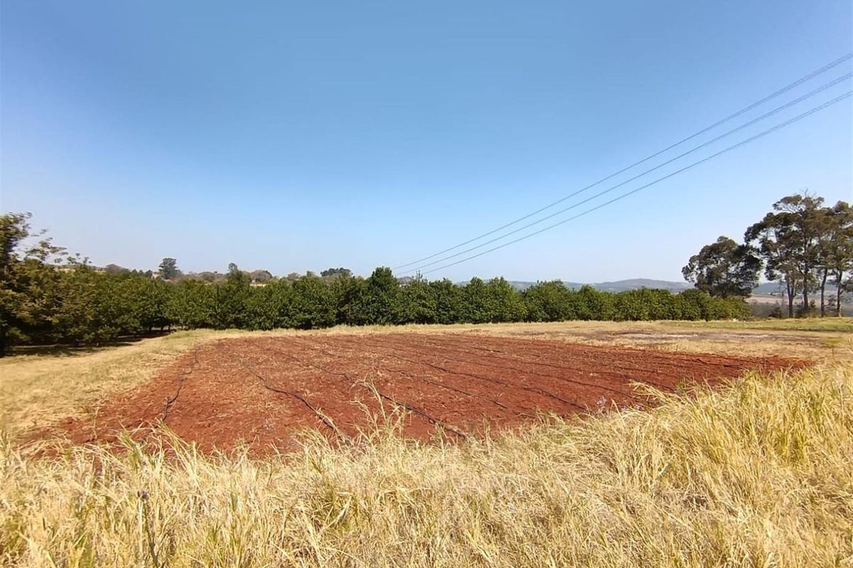 10Hectare Farm with Multiple Homes, Flats and Income-Producing Crops - Photo 3