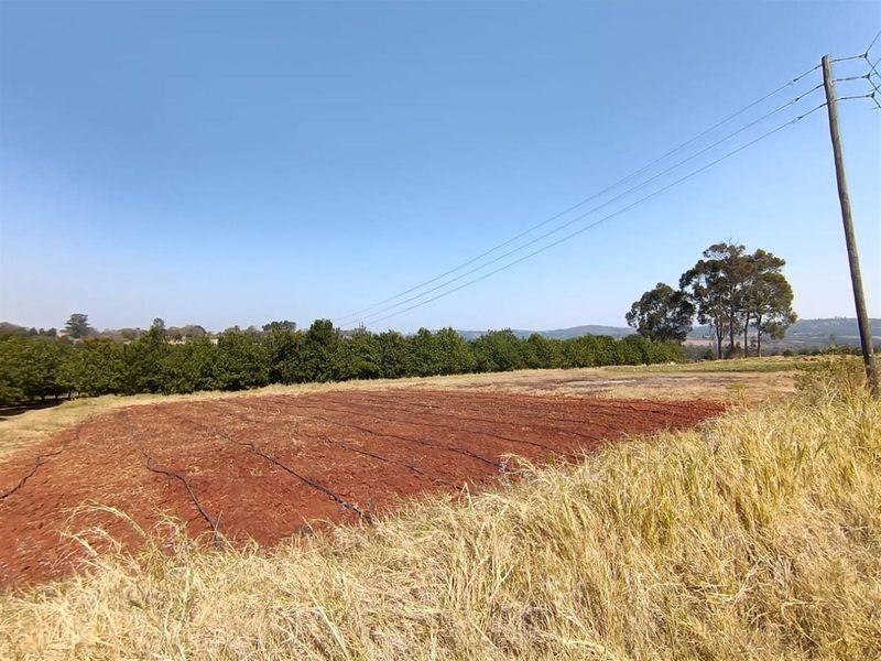 10Hectare Farm with Multiple Homes, Flats and Income-Producing Crops - Photo 2